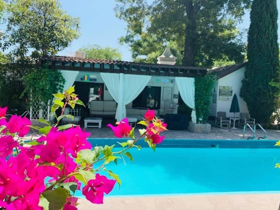 La Casita Inn Bustamante Exteriör bild
