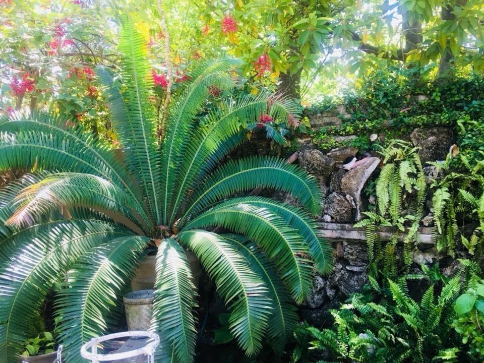 La Casita Inn Bustamante Exteriör bild
