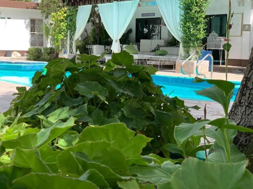La Casita Inn Bustamante Exteriör bild