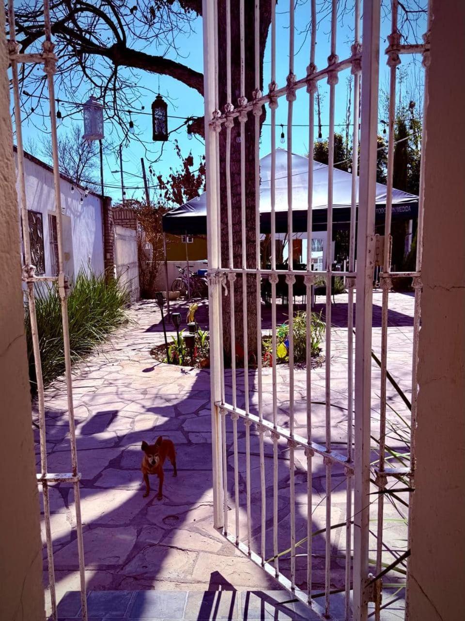 La Casita Inn Bustamante Exteriör bild