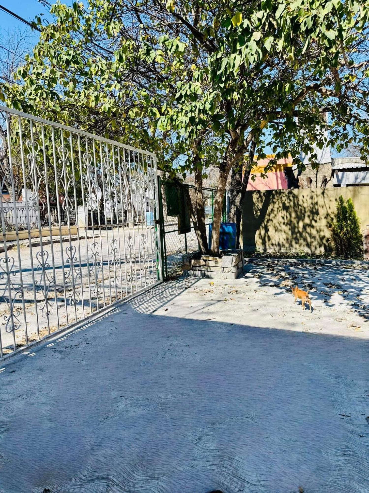 La Casita Inn Bustamante Exteriör bild