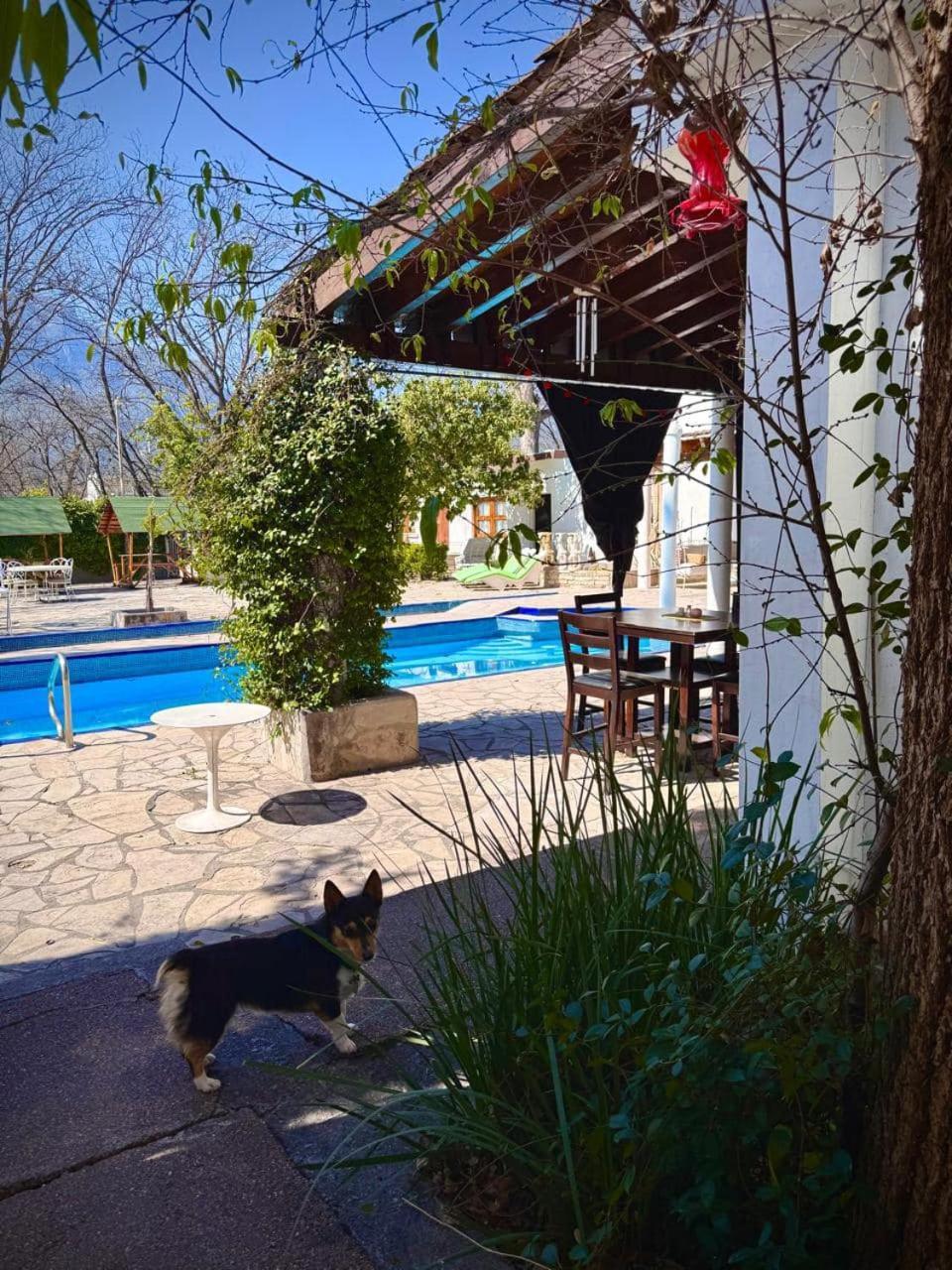 La Casita Inn Bustamante Exteriör bild
